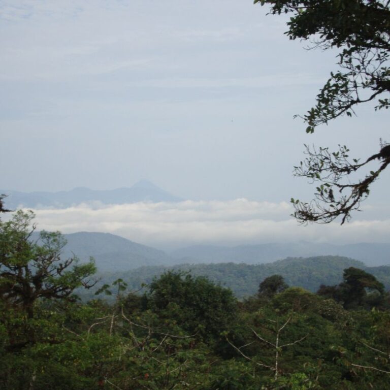 נוף ההרים המכוסים בעננים לבנים