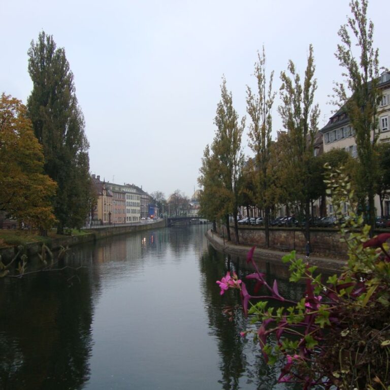 נופי גרמניה בהפלגה על הריין-