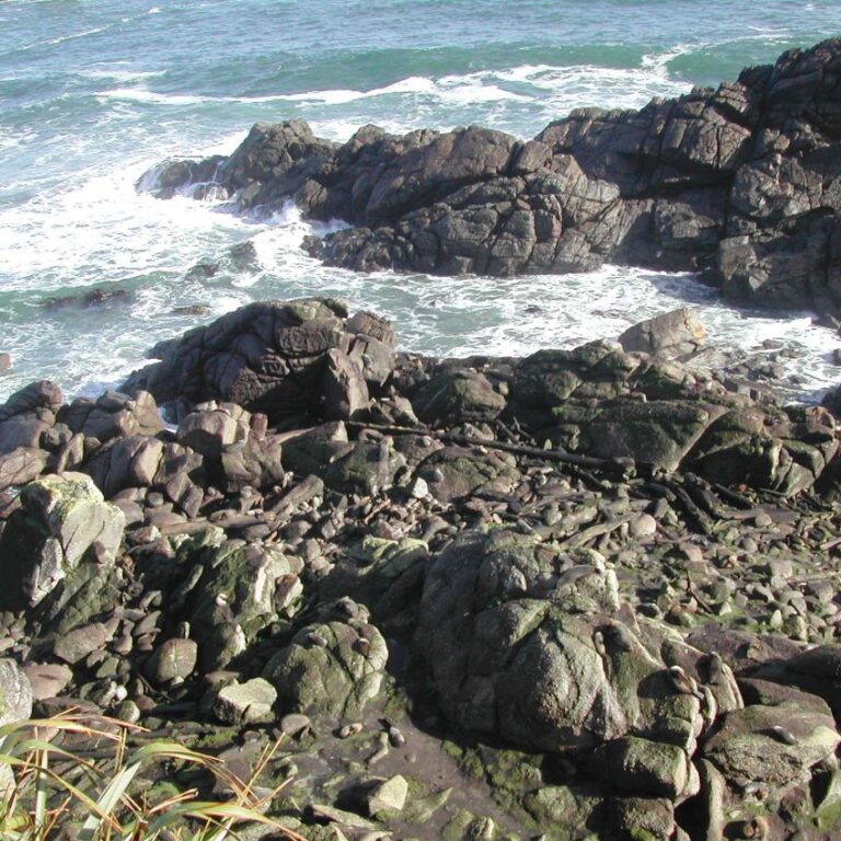 נופי הים באי הדרומי