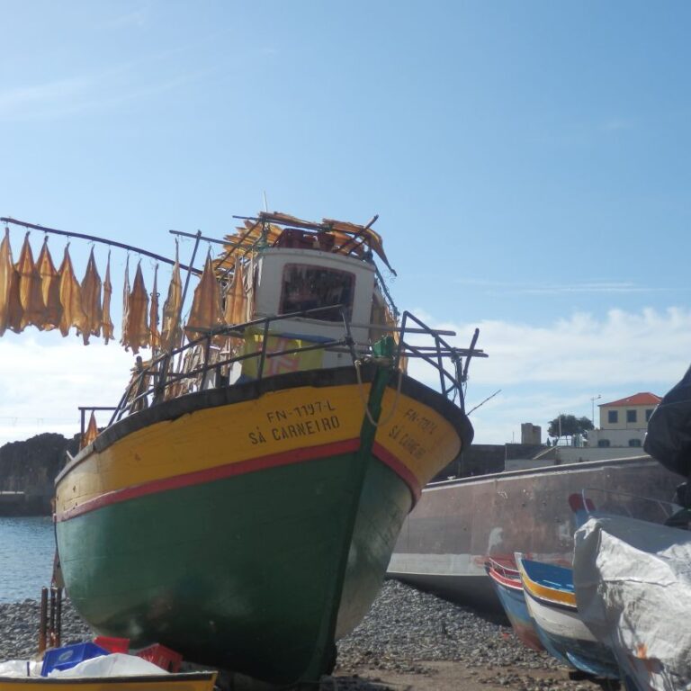 נמל דייגים במדירה