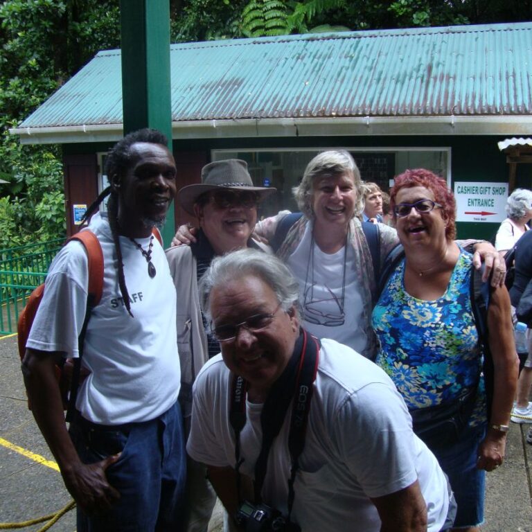 עליזים לפני הנסיעה על ראשי העצים בקרונית