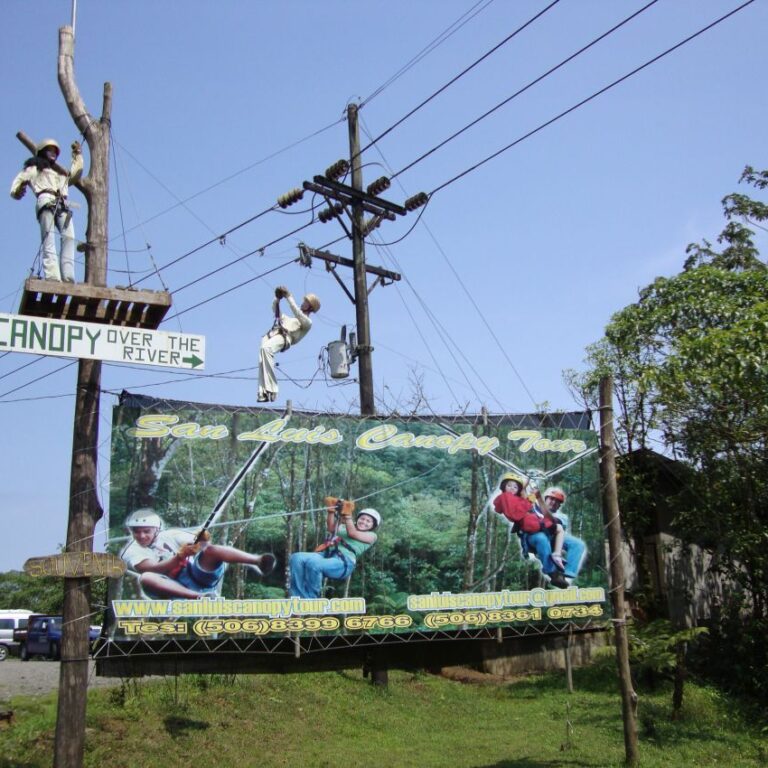 פרסום להליכה על צמרות העצים בג'ונגל הקוסטה ריקני