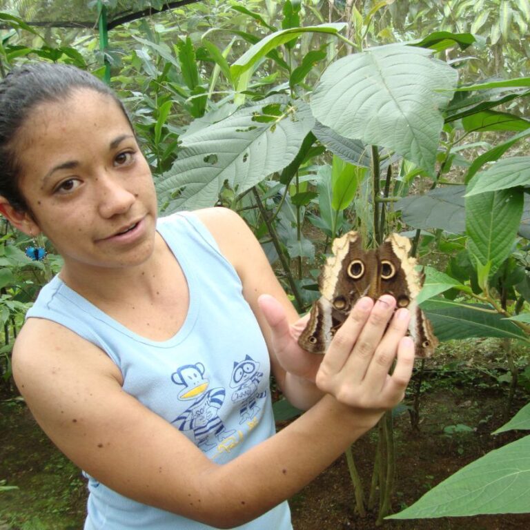 פרפר קוסטריקני