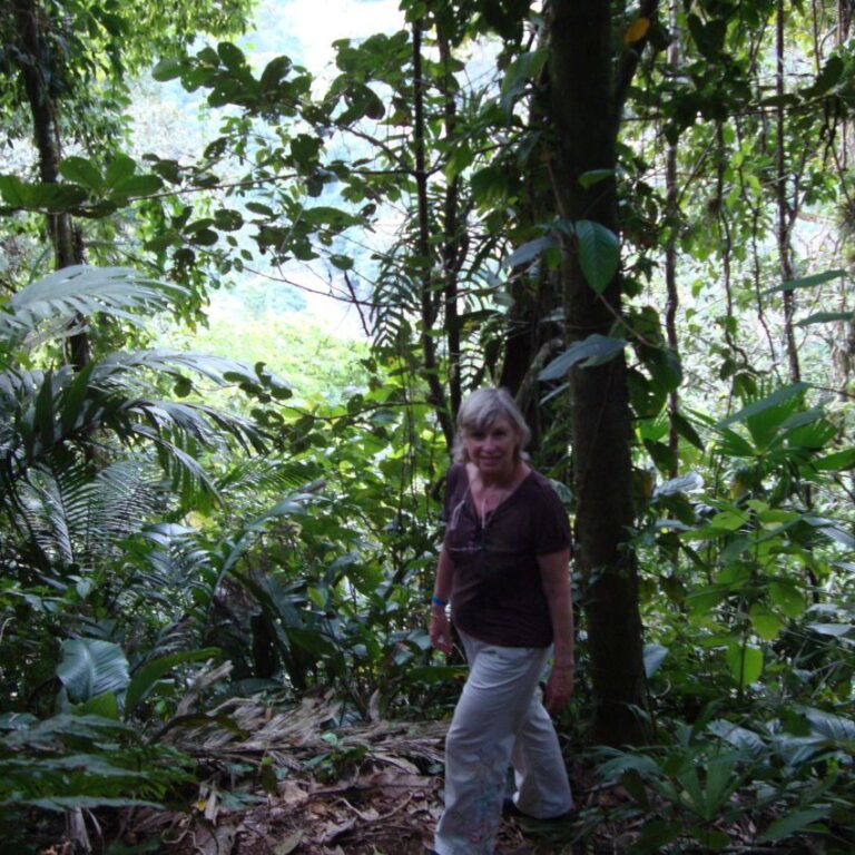 צביה בג'ונגל למרגלות הר הגעש ארנל