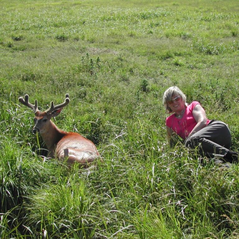 צביה נחה ליד צבי קנדי