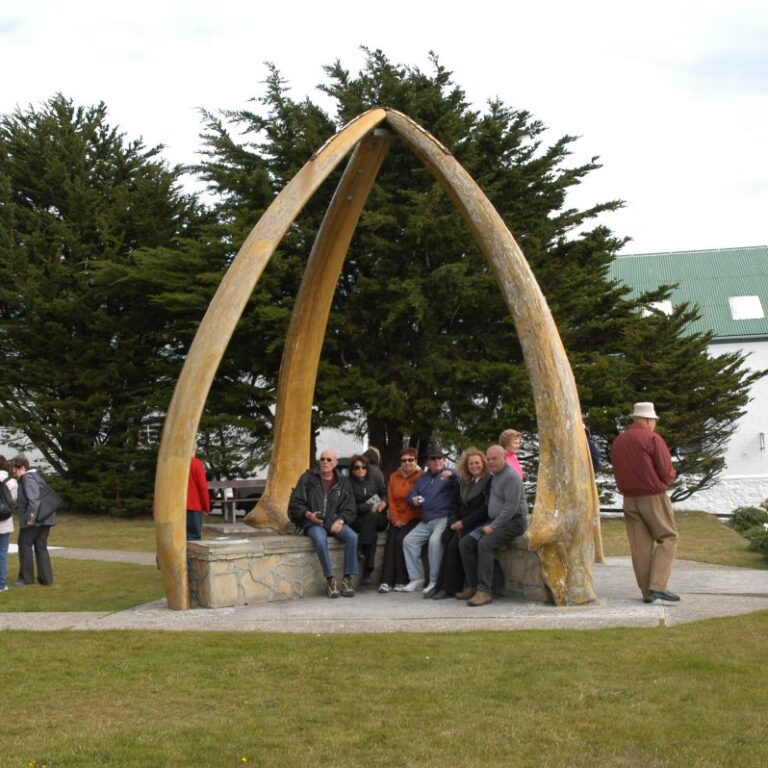 קשת שהפכה למושב של שיני הלוויתן הכחול בפוקלנד