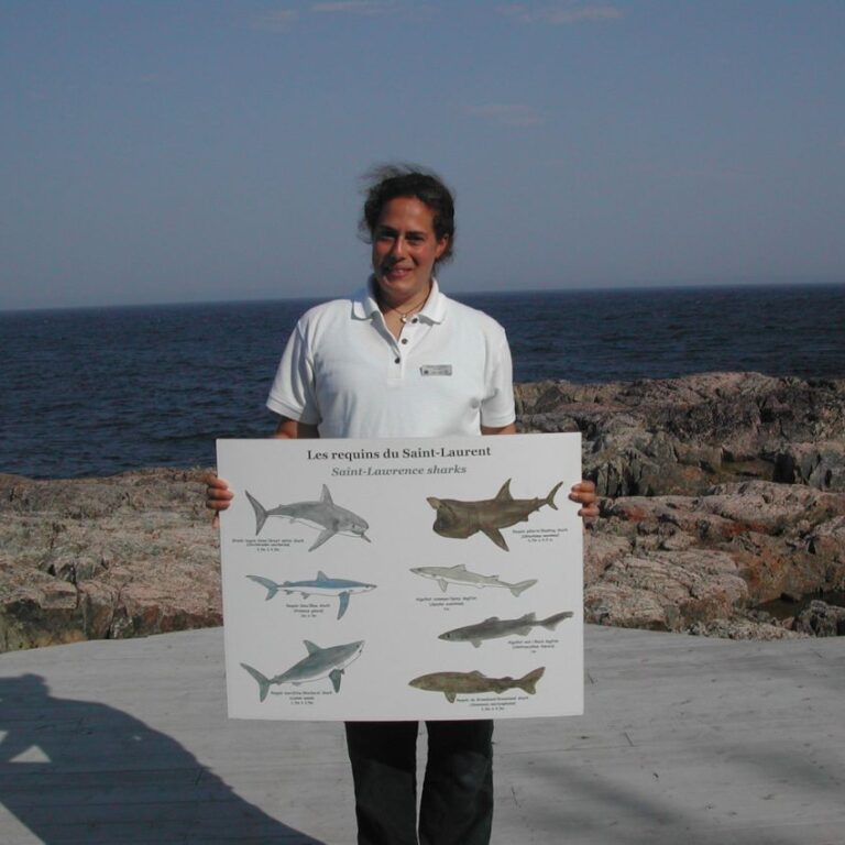 שומרת יערות קנדית בקוויבק מציגה את הלוויתנים הבאים לזלול פלקנטון ב"סנט לורנס סי וויי"