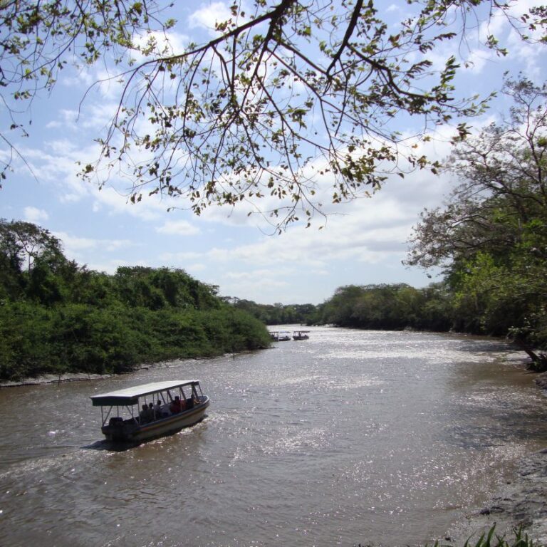 שייט על נהר התנינים בקוסטה ריקה