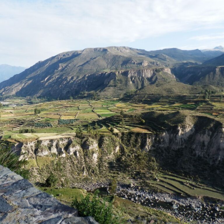 אדמות מעובדות בטיראסות במרומי הרי האנדים
