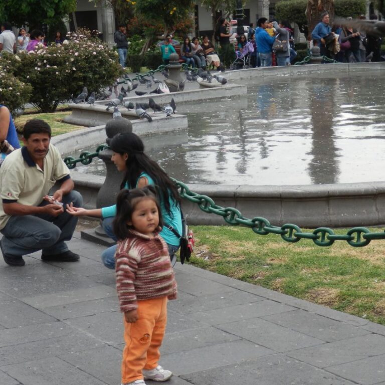 בילוי יום ראשון בלימה למשפחות