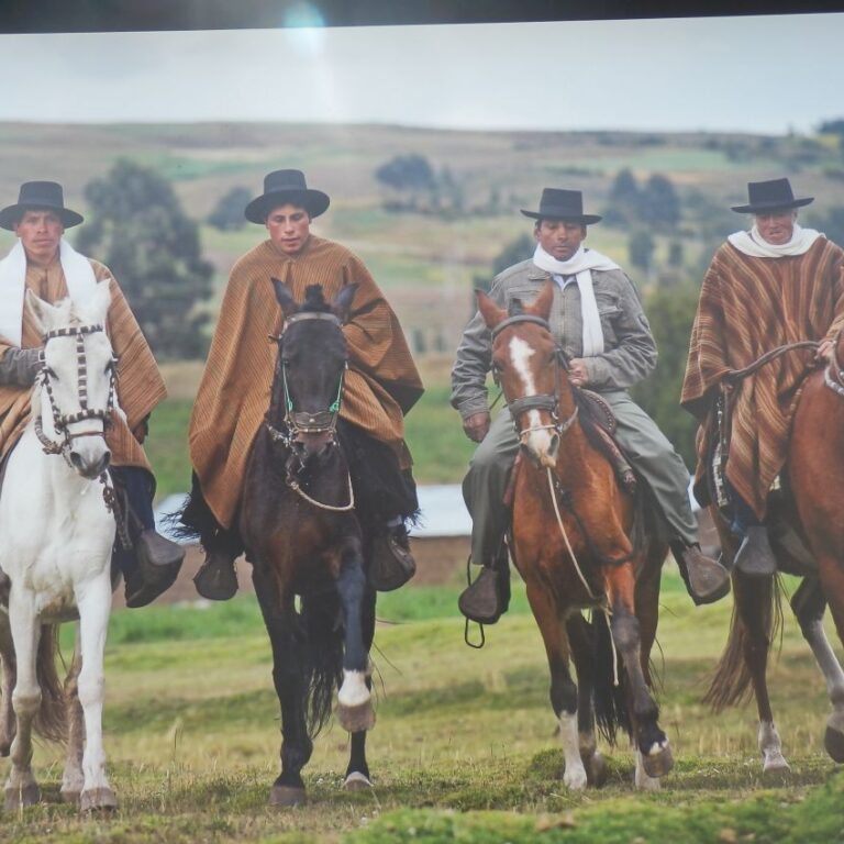 גאוצ'וס דרום אמריקנים , המקביל לקאובוייס האמריקנים