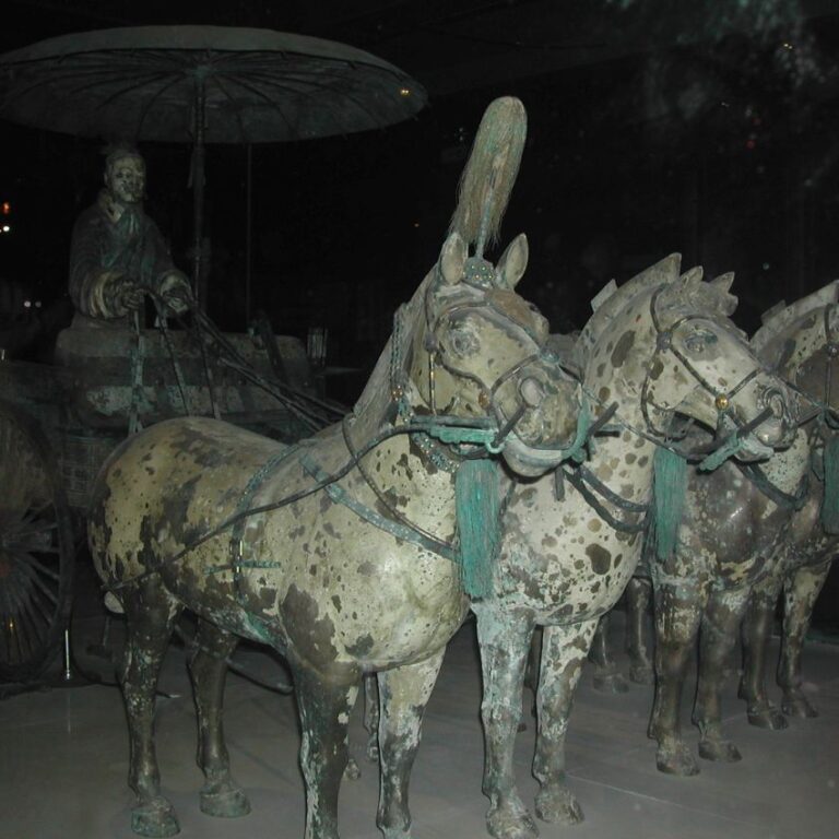 גם מרכבות וסוסים מחרס השתמרו בקברו של הקיסר