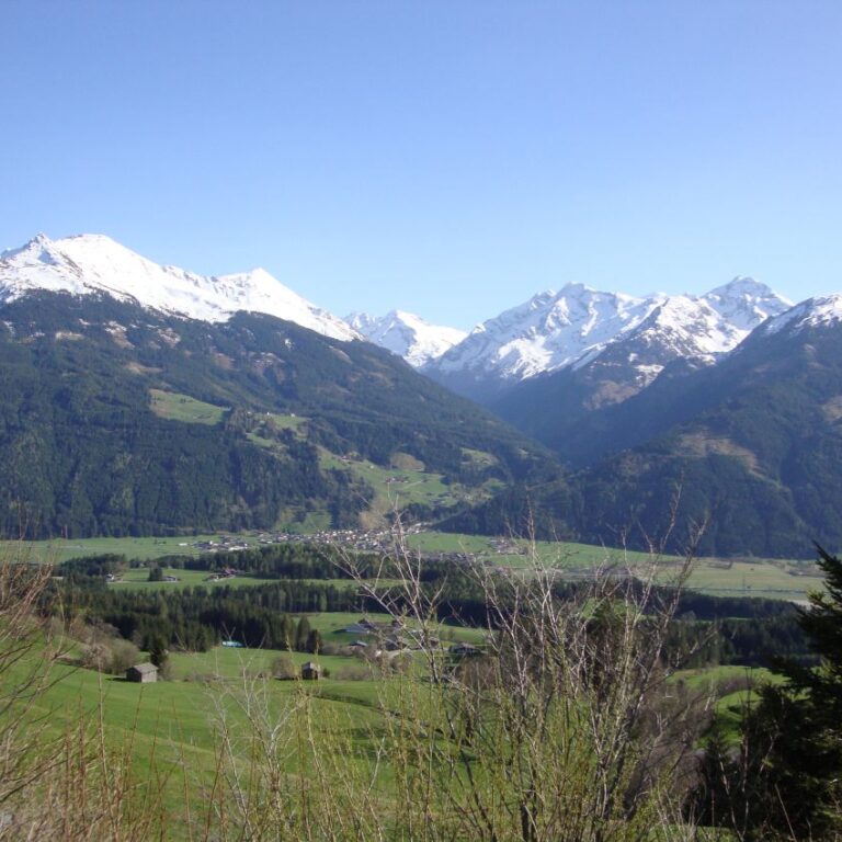 האלפים האוסטרים