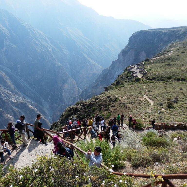 הדרך לנקודת התצפית בנשרי הקונדור באנדים-