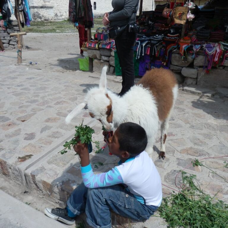 ילד מאכיל את חיית המחמד שלו באנדים