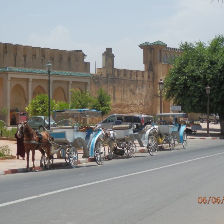 כרכרות ברבאט, מרוקו