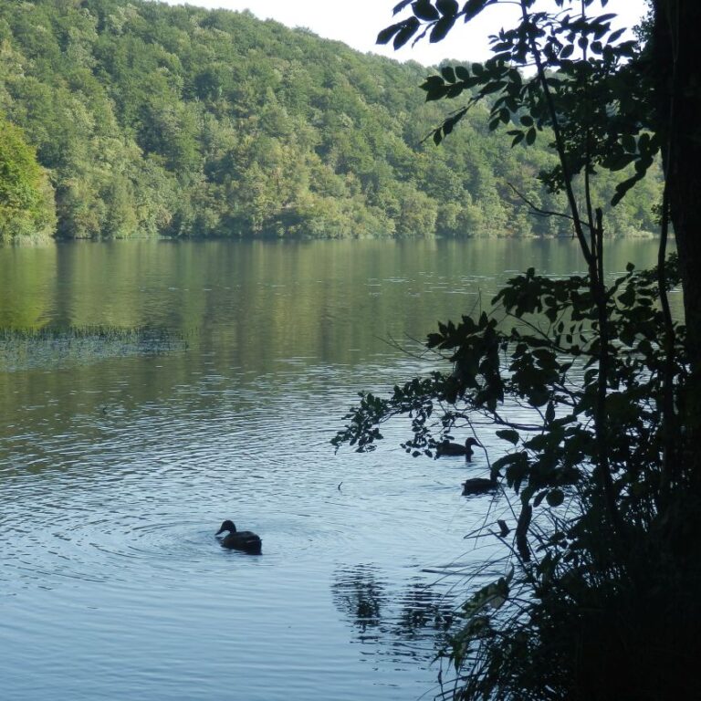מאגמי פליטוויצה בקרואטיה