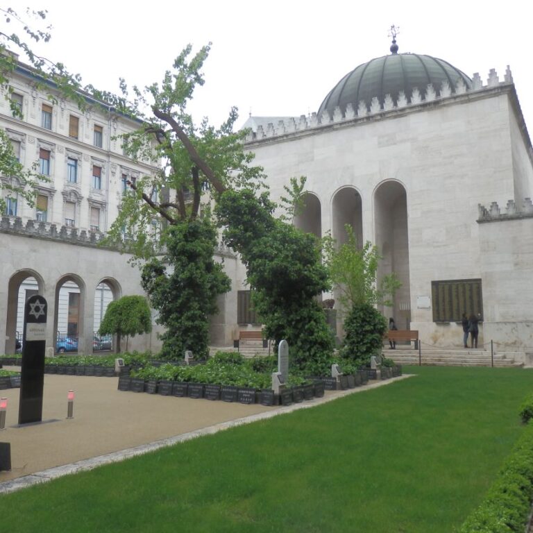 מבט מבית הקברות היהודי על בית הכנסת