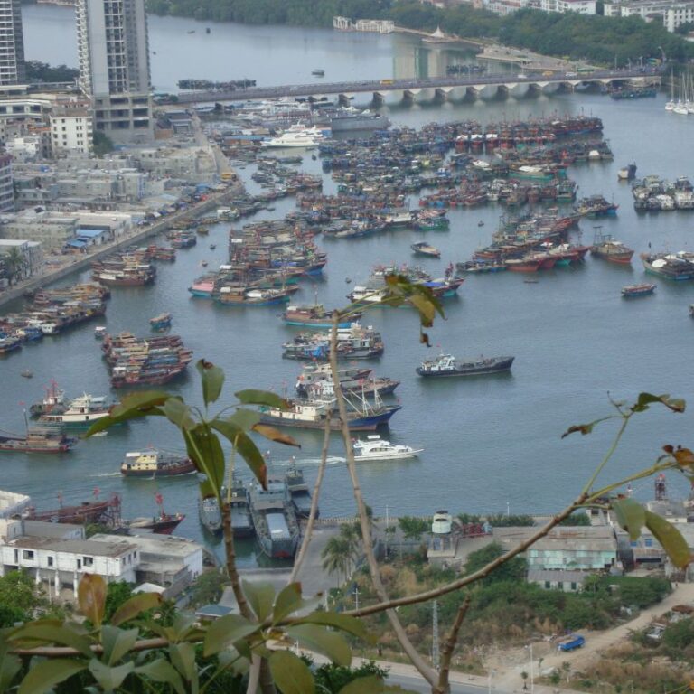 מבט על נמל אי הכלות