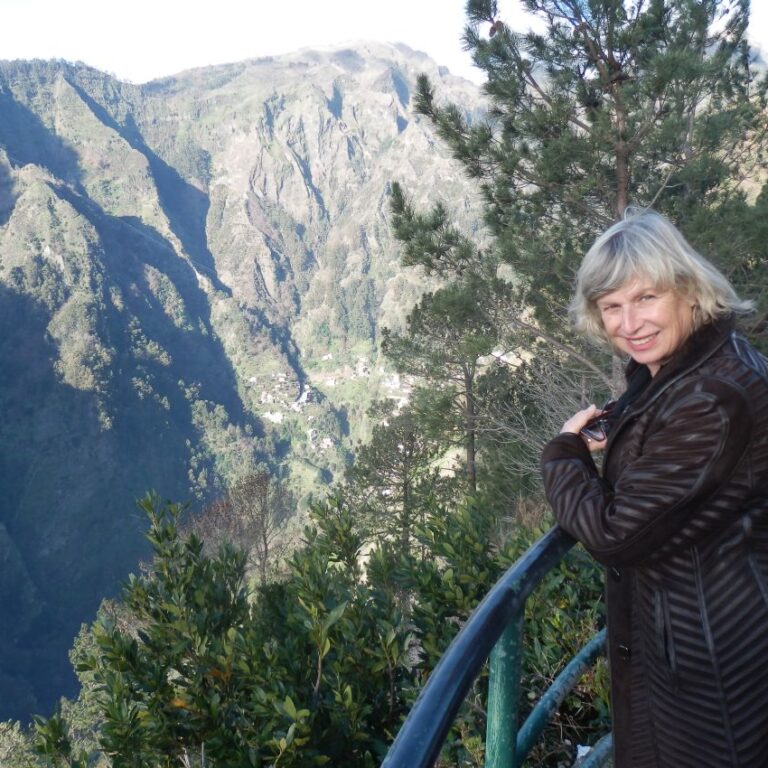 מנופי האי הפורטוגזי מדירה