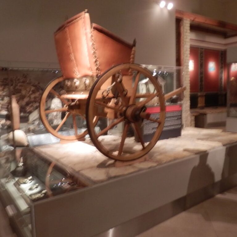 מרכבה קרבית הונגרית