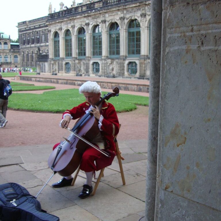 נגן וינאי בארמון שנברון