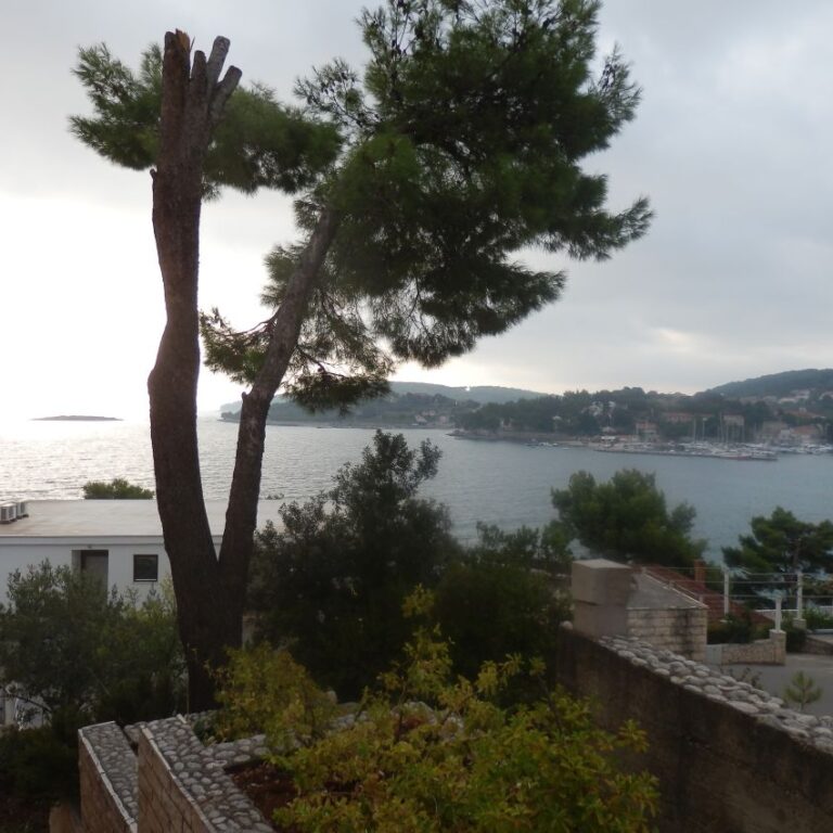 נוף החוף הקרואטי