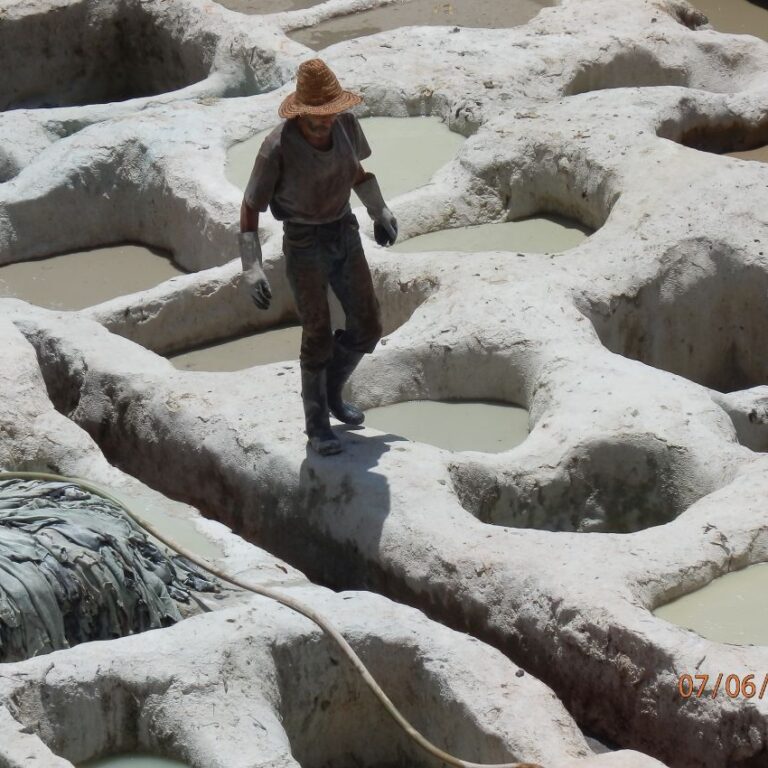 עבודה לא קלה לדרוך כל החיים על עורות בסרחון מתמיד