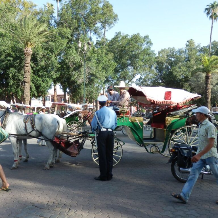 עושים סדר בתנועה במארקאש