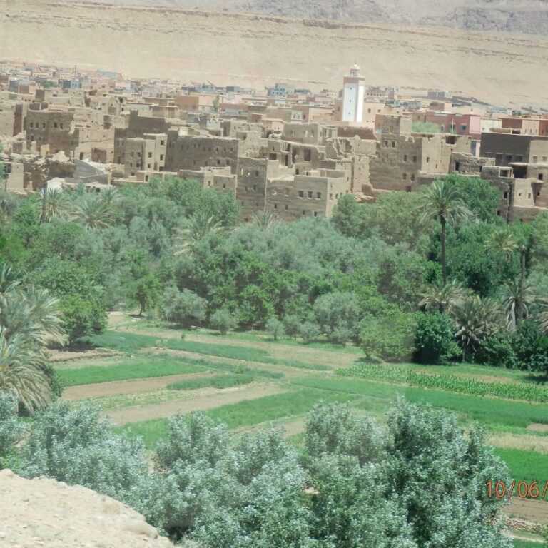 עיר הסרטים בסהרה