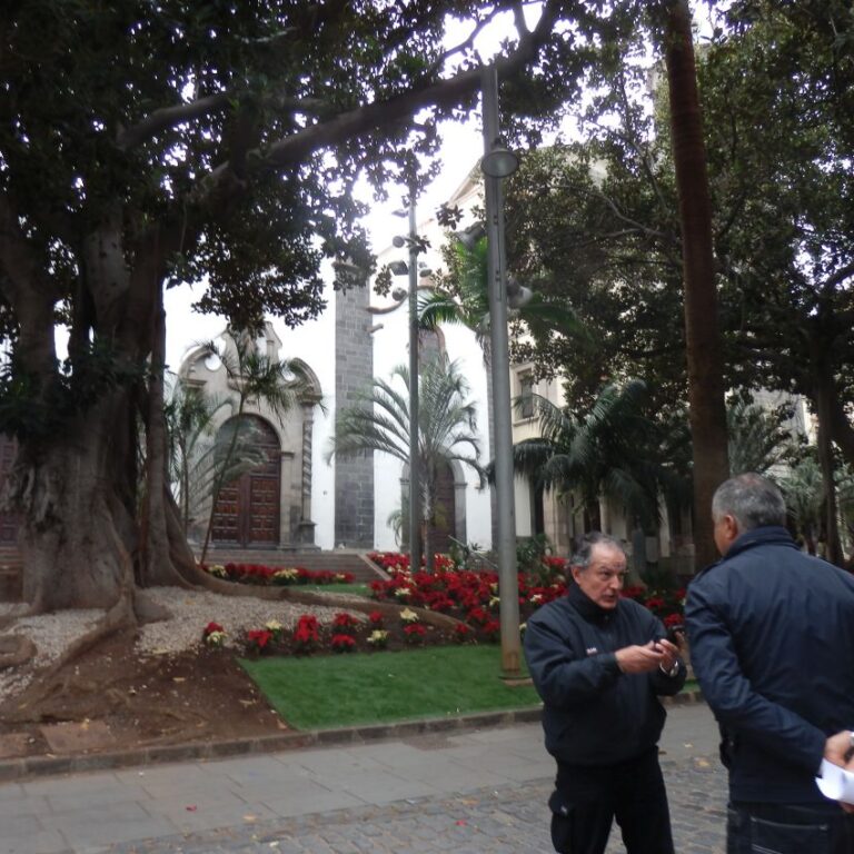 עצים ובתים עתיקים בליסבון