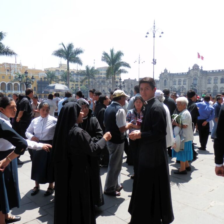 פרחי כמורה בלימה פרו -