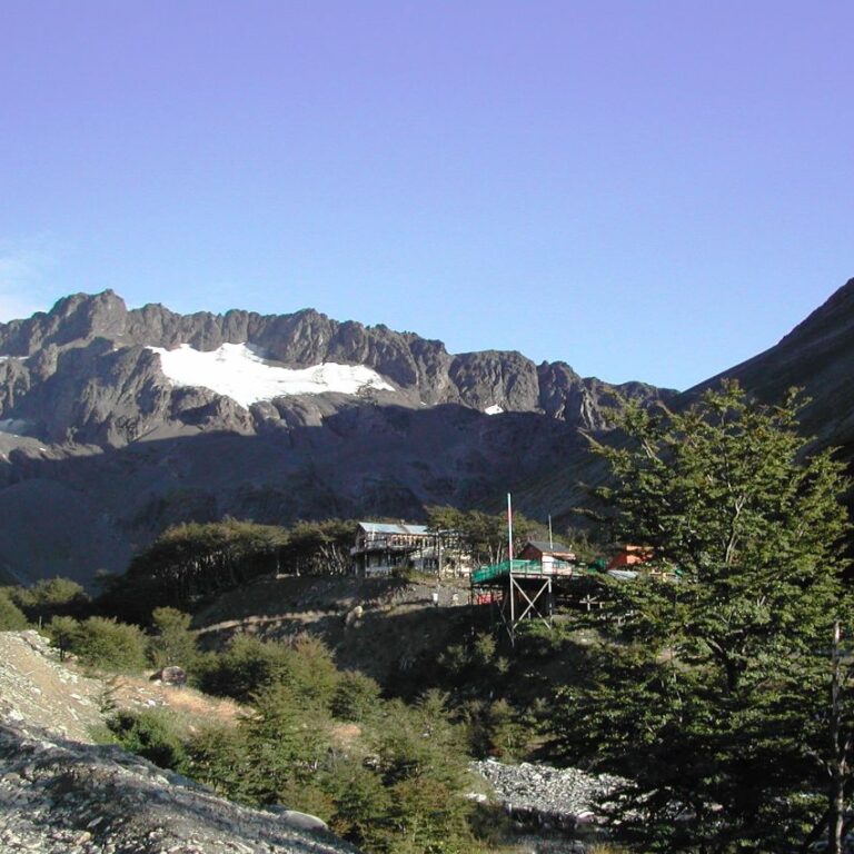 קרחוני צ'ילי