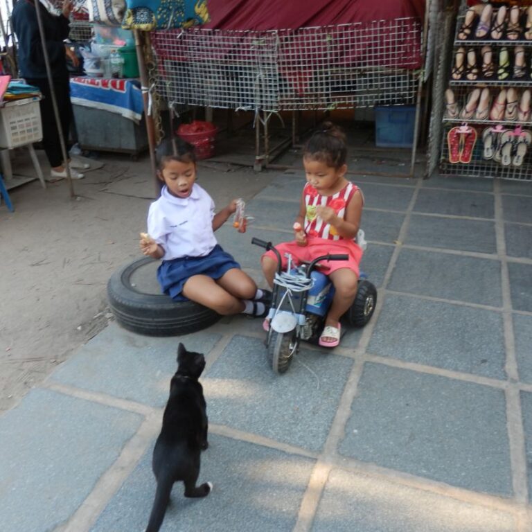 ילדות תאילנדיות עם חברתן החתולה