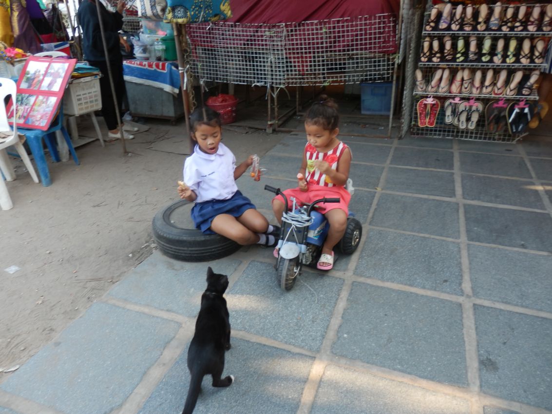 ילדות תאילנדיות עם חברתן החתולה