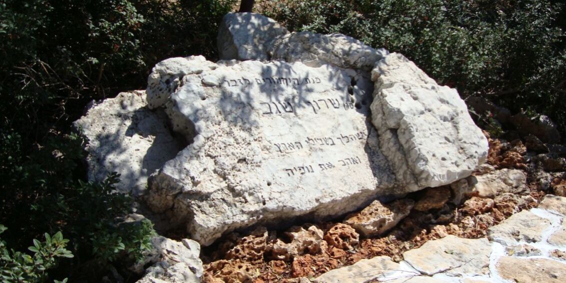 אנדרטה לזכרו של הקצין שרון שגב שאביו תא"ל איציק שגב תרם לא מעט לשמורת "חי בר" ולשימור נשרי הגולן