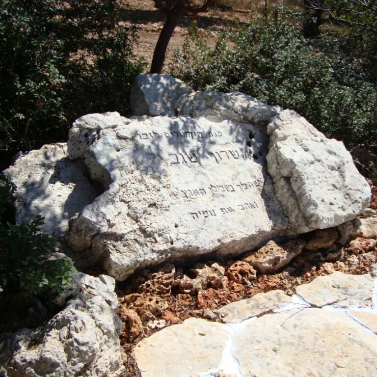 אנדרטה לזכרו של הקצין שרון שגב שאביו תא"ל איציק שגב תרם לא מעט לשמורת "חי בר" ולשימור נשרי הגולן