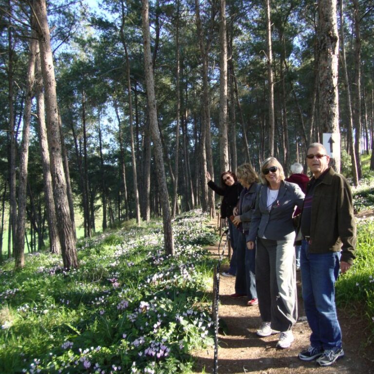 בדרך לגבעת הרקפות בכוכב יאיר