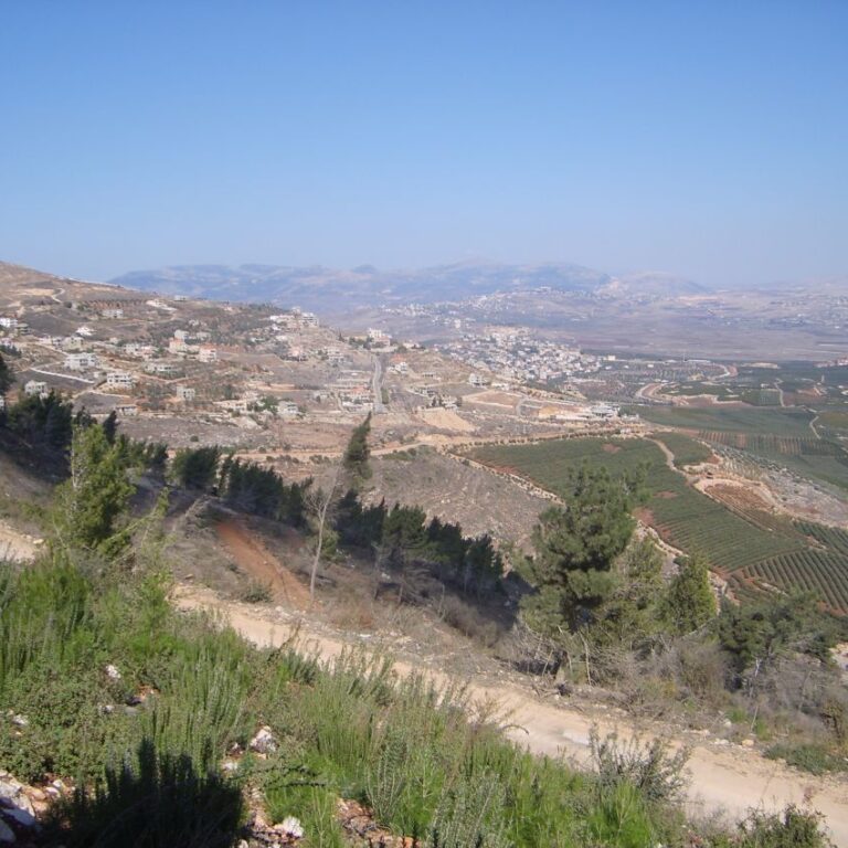 הנוף הנשקף ממצפה בניה