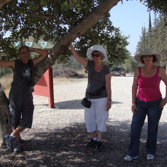 טיול בעקבות הלחימה בדרך לירושלים