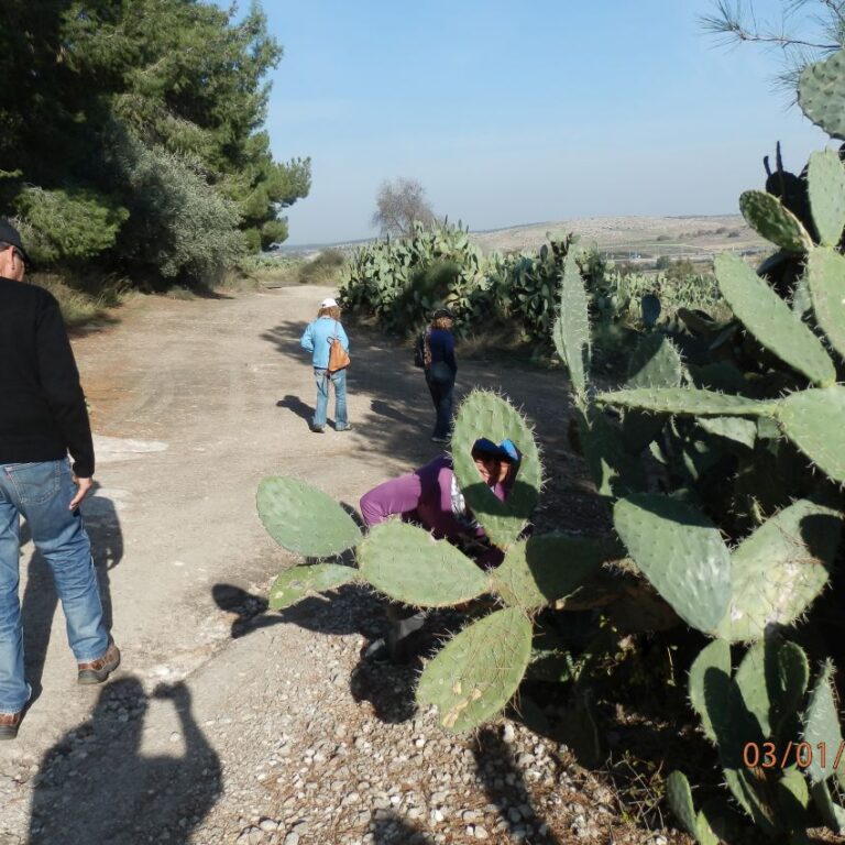 ליד שדה הקרב בעיראק אל מנשה