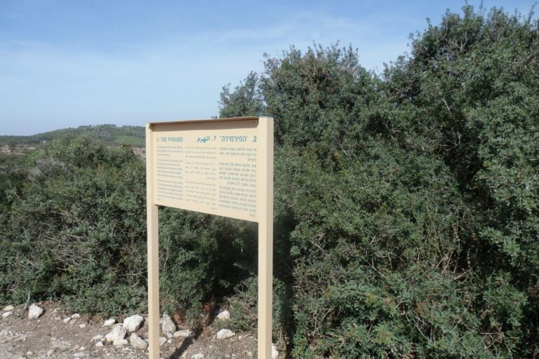 שבילים בארץ