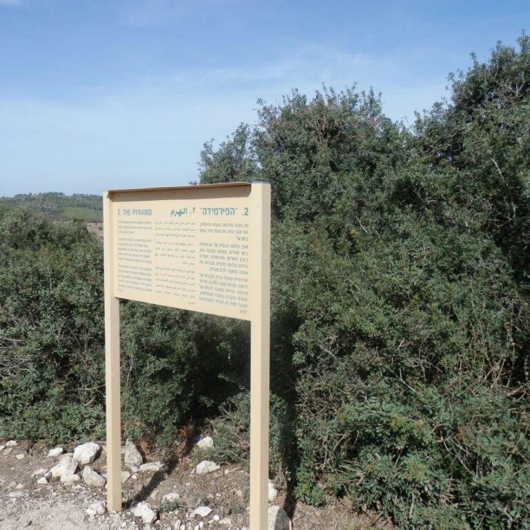 שבילים בארץ