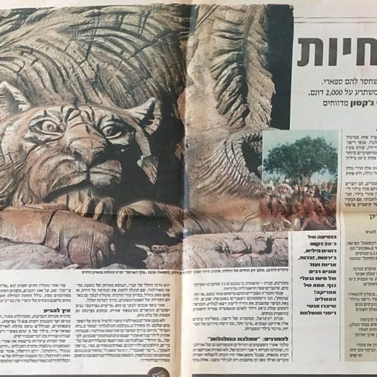 יוניברסל סטודיו ודיסני בנו עולם של אשליות כמעט אמיתיות לילדי כל העולם