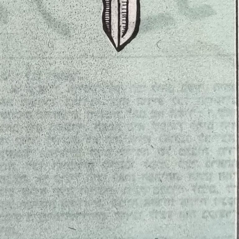 המפתח איור למדורו של לידסקי