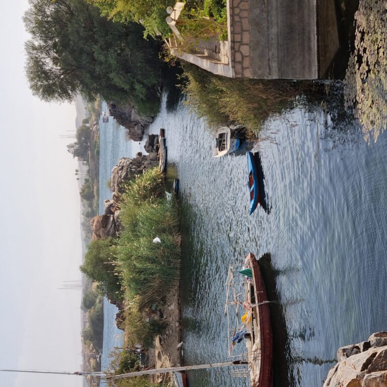 האי יב מהתשבצים... שם היה מקדש של יהודים ששימשו שכירי חרב מאחרי חורבן בית שני