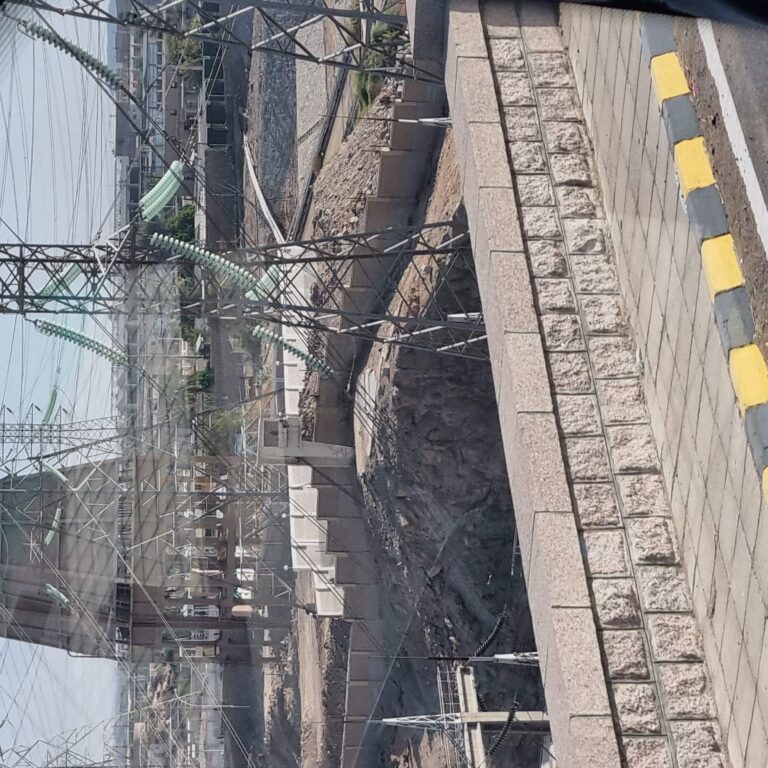 המפעל ההידרואלקטרי שמספק 15 אחוז מצריכת החשמל המצרית אך יש לנקות כל הזמן את הטורבינות שנסתמות מהסחף שמביא הנחל מהרי אתיופיה