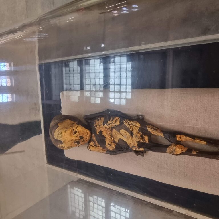 מומיה של ילד קטן . הוא ישאר לנצח בן שלוש