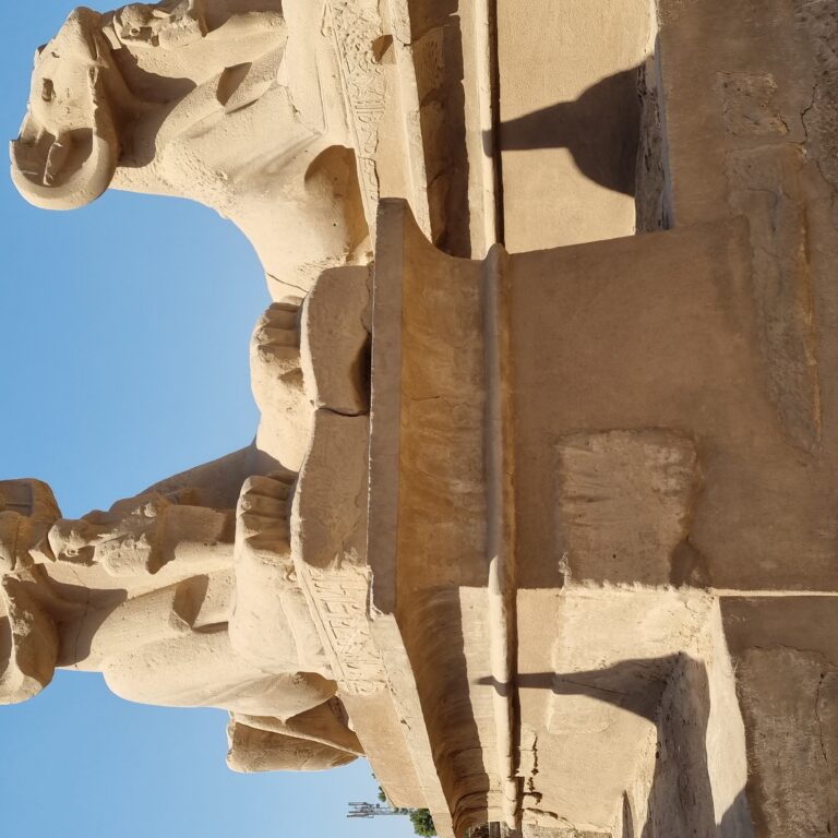 שני ראשי יעלים בשדירת הספינקסים