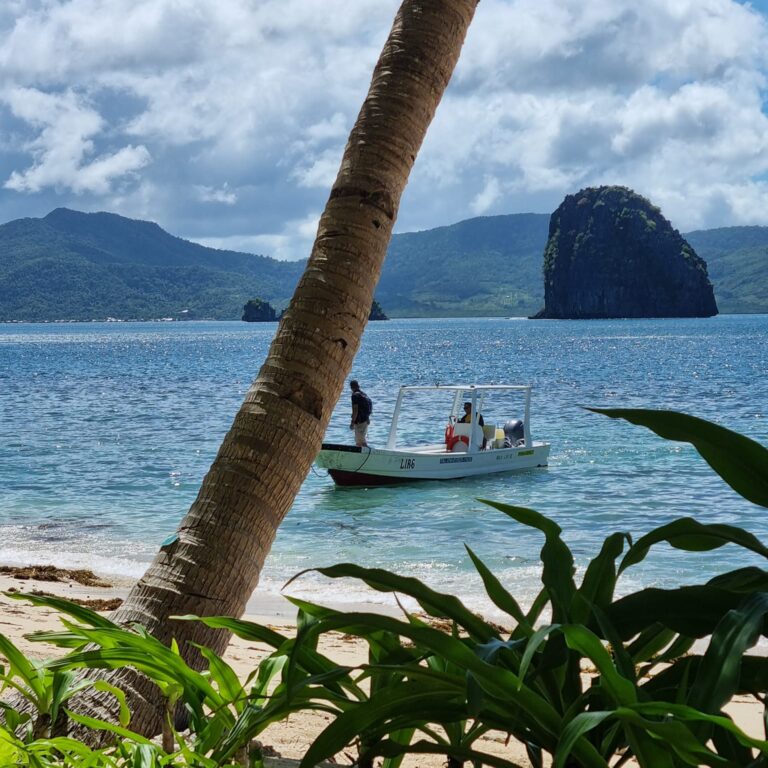 באים לחלץ אותנו מהחוף המבודד בו שהינו